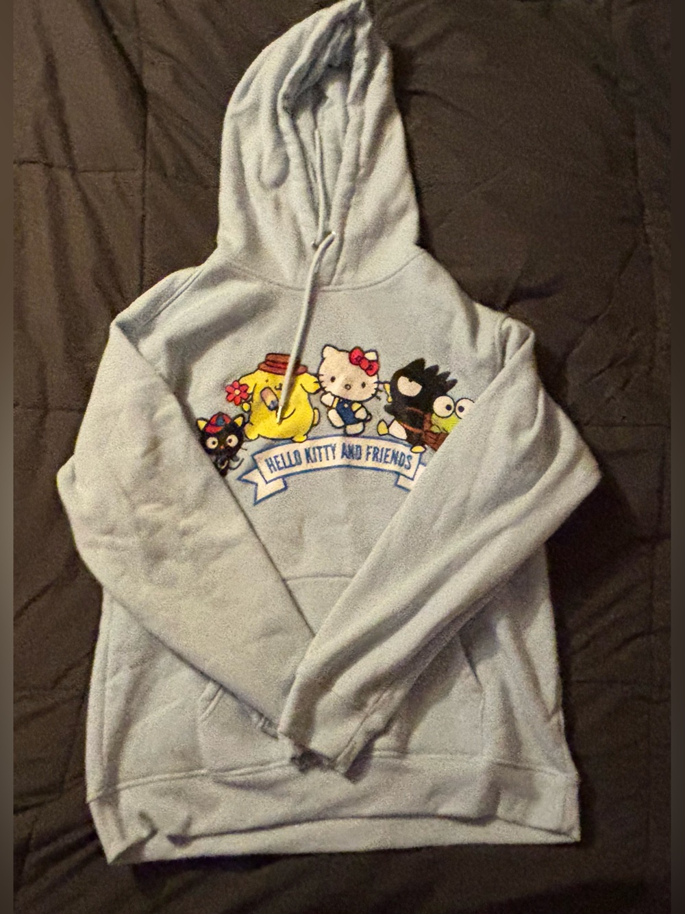 Hello Kitty Light Blue Hoodie with Character Graphic